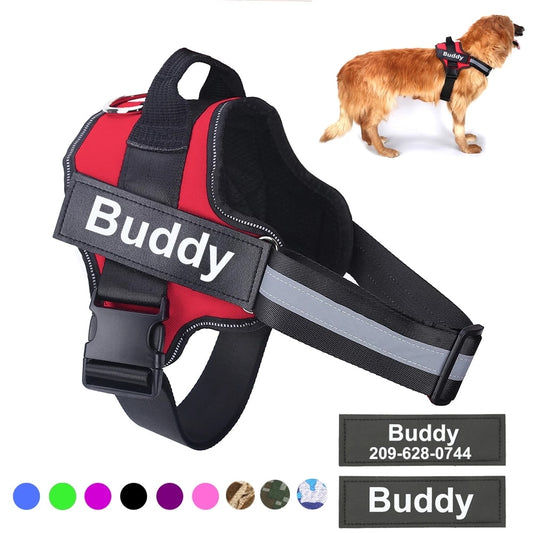Personalized Vest Dog Custom
